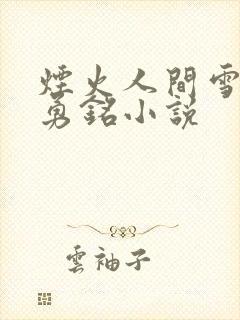 烟火人间雪怡陆勇铭小说