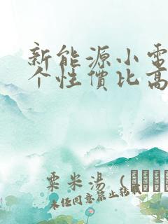 新能源小电车哪个性价比高