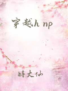 穿越h np