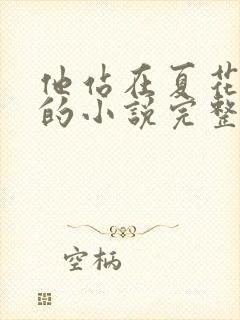 他站在夏花绚烂的小说完整