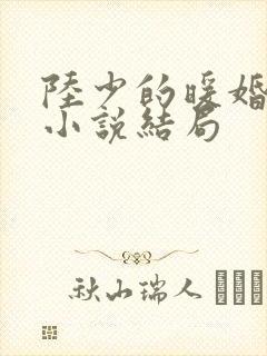陆少的暖婚新妻小说结局