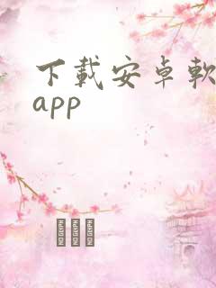 下载安卓软件的app