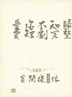 爱你不知归途免费短剧完整版免费看