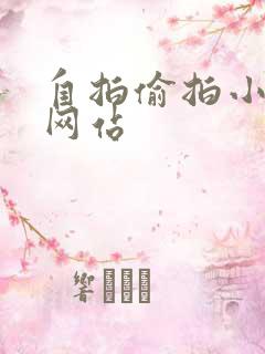自拍偷拍小视频网站