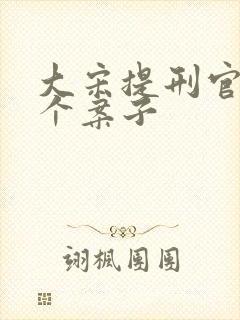 大宋提刑官多少个案子