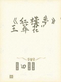 《红楼梦》