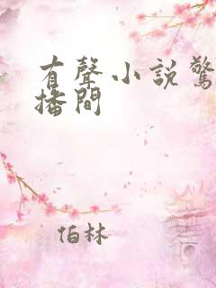 有声小说惊悚直播间