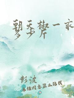 朝天椒一亩地产多少斤
