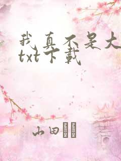 我真不是大明星txt下载