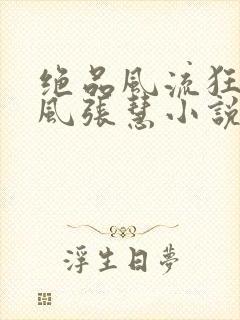 绝品风流狂医林风张慧小说无广告