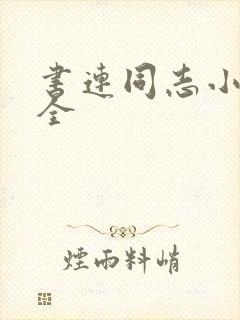书连同志小说大全