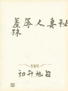 羞辱人妻秘书丝袜