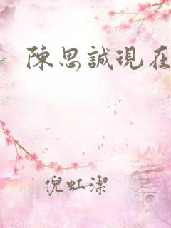 陈思诚现在老婆