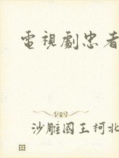 电视剧忠者无敌