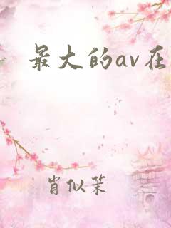 最大的av在线