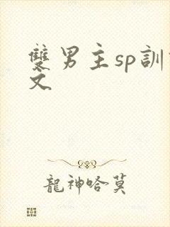 双男主sp训诫文
