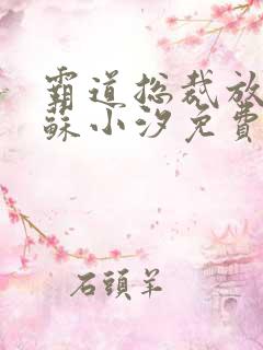 霸道总裁放肆爱苏小汐免费
