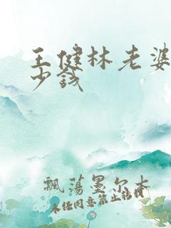 王健林老婆有多少钱