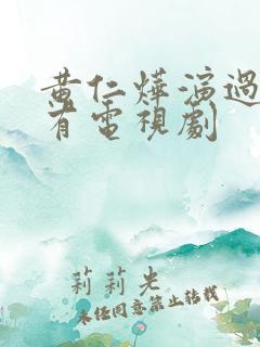 黄仁烨演过的所有电视剧