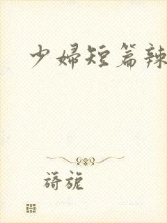 少妇短篇辣文