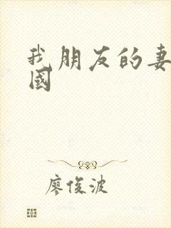 我朋友的妻子韩国