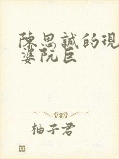 陈思诚的现任老婆阮巨