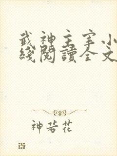 武神主宰小说在线阅读全文免费