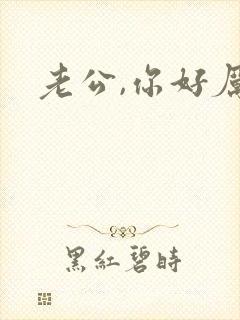 老公,你好厉害