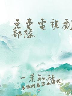 免费电视剧王牌部队