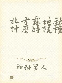 北方露地秋黄瓜什么时候种植