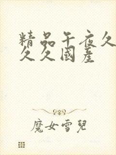 精品午夜久久久久久国产