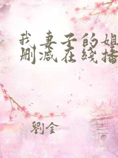 我妻子的姐姐无删减在线播放