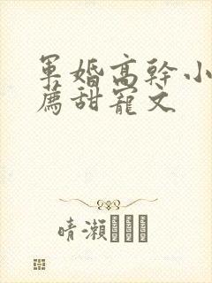 军婚高干小说推荐甜宠文