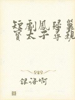 短剧凤归巢之萌宝太子寻亲记完整版