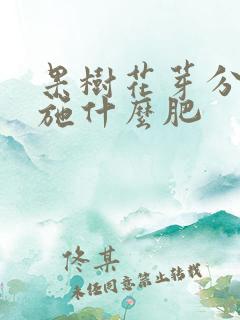果树花芽分化期施什么肥