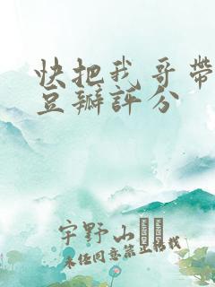 快把我哥带走 豆瓣评分
