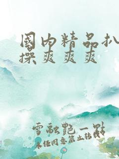 国内精品扒开腿操爽爽爽