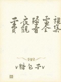 子夜归电视剧免费观看全集高清40集
