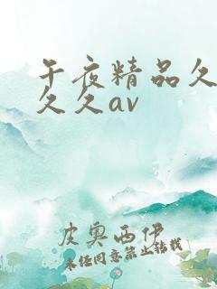 午夜精品久久久久久av