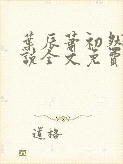 叶辰萧初然的小说全文免费阅读