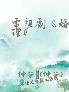 电视剧《婚姻料理》