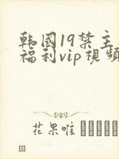 韩国19禁主播福利vip视频