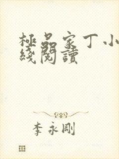 极品家丁小说在线阅读
