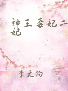 神王毒妃二嫁王妃