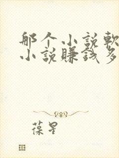 那个小说软件写小说赚钱多