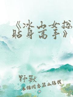 《冰山女总裁的贴身高手》