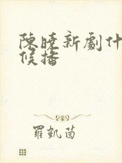 陈晓新剧什么时候播