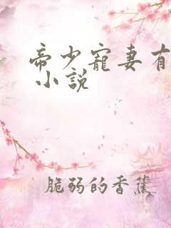 帝少宠妻有点甜 小说
