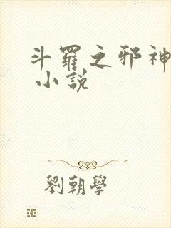 斗罗之邪神传承 小说