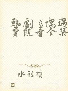 韩剧《偶遇》免费观看全集